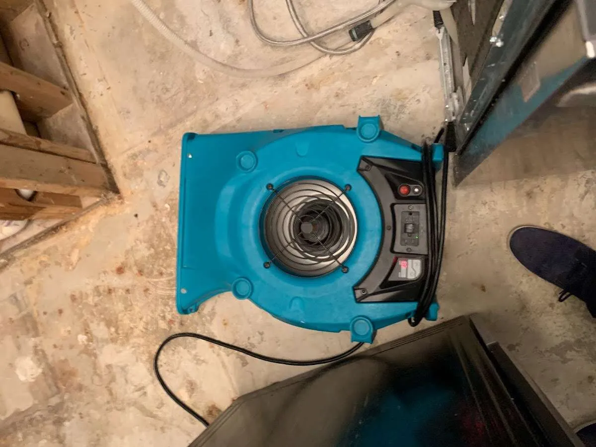 Air mover drying equipment for Mold Remediation & Removal in Rutland